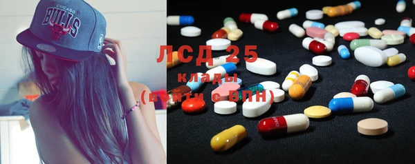 амф Богданович