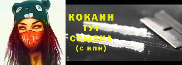 амф Богданович