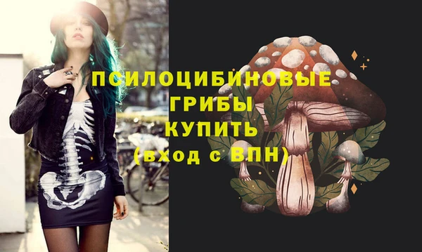 синтетический гашиш Болотное