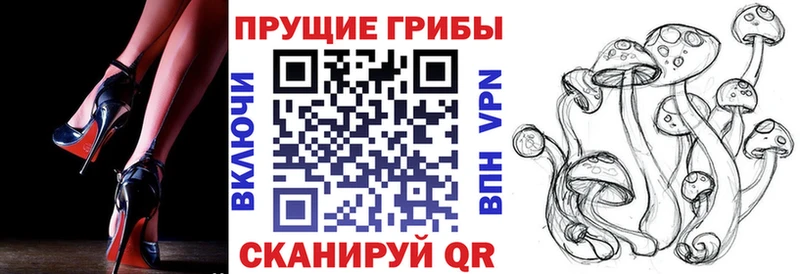 Псилоцибиновые грибы Magic Shrooms Воркута